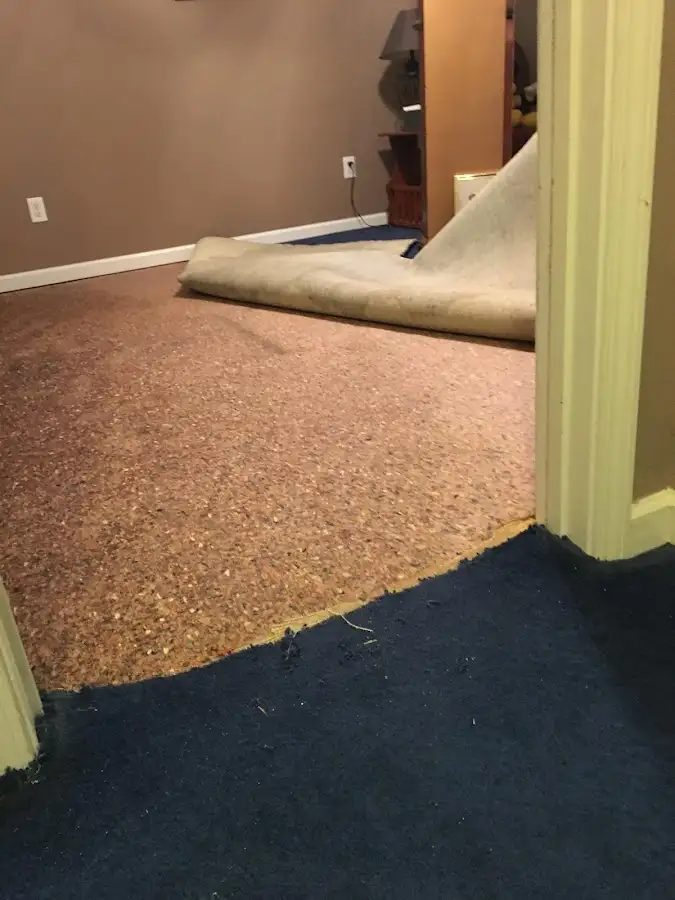 Carpet pad removal revealing water damage during Drying & Dehumidification in Marlton